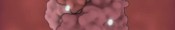 Heme Binding