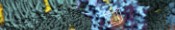 VP14 Carotenoid Cleavage