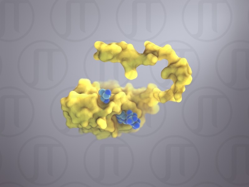 Molecular Portrait: Mycobacterium Tuberculosis dUTPase